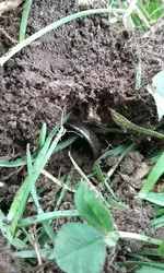 20160904_100156.webp