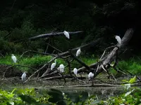 K1600_DSCN4874.webp