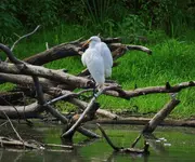 K1600_DSCN4875.webp