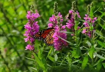 K1600_DSCN4871.webp