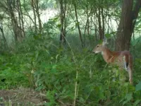20160905_074617.webp