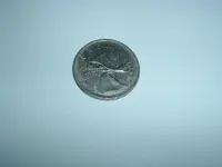DSCF2269.webp