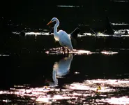 DSCN5581.webp