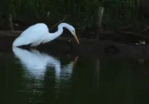 DSCN5584.webp