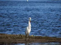 DSCN5615.webp