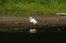 DSCN5624.webp
