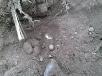 CAM00740.webp