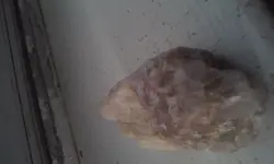 20160720_192341.webp