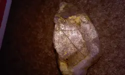 20160606_003317.webp