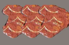 Untitled-1a.webp