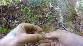 fired bullet.webp