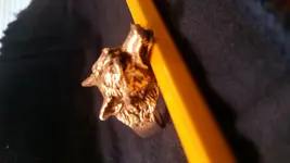 Ring1.webp