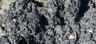 gold ring closeup in dirt.webp