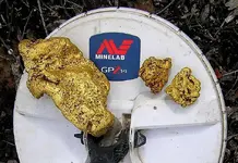 gold%20on%20minelab%20coil.webp