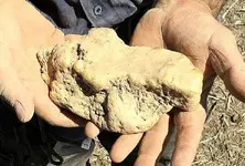 gold%20hand.webp