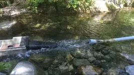 ImageUploadedByTreasureNet.com1474345886.232045.webp