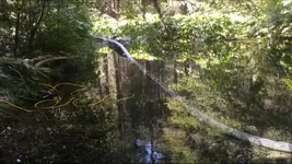 ImageUploadedByTreasureNet.com1474345919.033068.webp