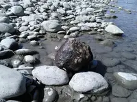 Blue 1.webp