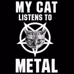 cat listens to metal.png