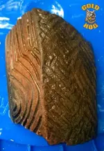 indianpotteryfindga.webp