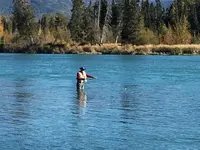ImageUploadedByTreasureNet.com1474373557.047831.webp