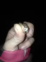 ring.webp