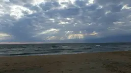 1473729572692.webp
