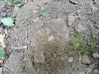 20160928_172202_resized.webp