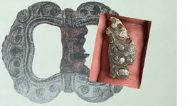 Buckle.webp