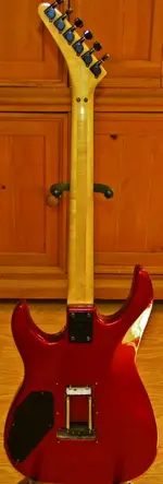DSCN0662.webp