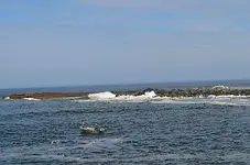 Bandon North Jetty.webp Bandon North Jetty.webp