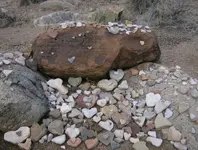 HPIM0141.webp