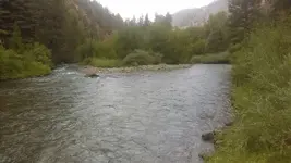 1469996955096.webp