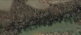 gold bluff.webp
