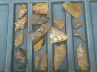 Lee Co. Georgia.webp