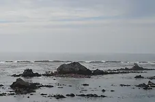 Simpson Reef5.webp Simpson Reef5.webp