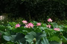 K1600_DSCN5215.webp