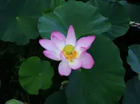 K1600_DSCN5226.webp