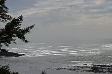 Simpson Reef1.webp