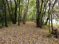 K1600_DSCN4346.webp