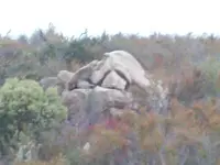 101_0361.webp