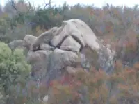 101_0362.webp