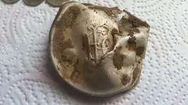 old can lid.webp
