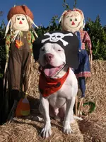 DSCF3130.webp