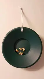 ornament.webp ornament.webp