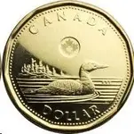 Canadian Loonie.webp