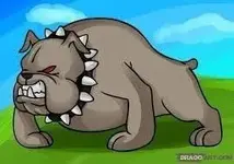 Bdog.webp