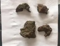 blobs.webp