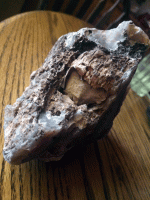 IMG_2261.gif