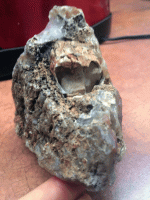 IMG_2269.gif